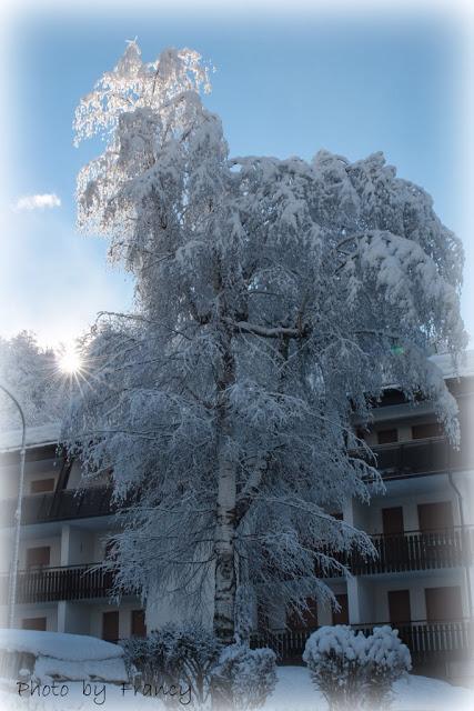 SOGNO IN BIANCO