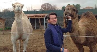 NASCE IN SICILIA UN ALLEVAMENTO DI DROMEDARI UNICO IN ITALIA