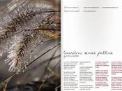 #Soffridiallergie? tutte graminacee sono però uguali.