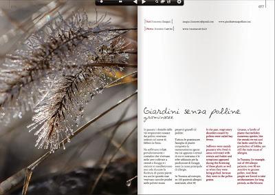 #Soffridiallergie? Non tutte le graminacee sono però uguali.