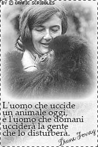 Omaggio a Dian Fossey con una citazione