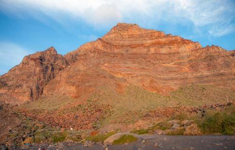 La Gomera, Canary Island canaries-28