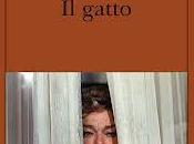 gatto [Roma]