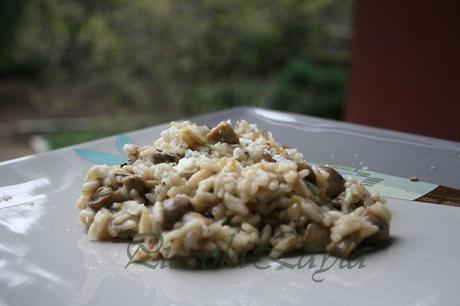 risotto funghi e castelmagno 4b