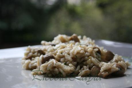 risotto funghi e castelmagno 5b