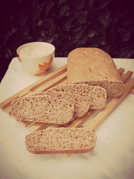 Ciabatta speziata al farro e zenzero (con pieghe a treccia)