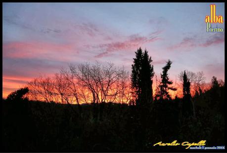 alba sul quinto anno di blog