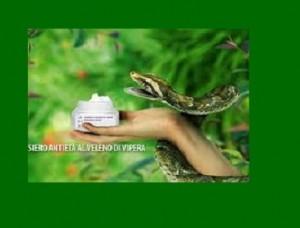 Nel veleno di una rara vipera birmana il segreto dell’eterna giovinezza