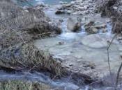 Avvelenano fiume Treste Castiglione Messer Marino. Arci Pesca individua punto sversamento