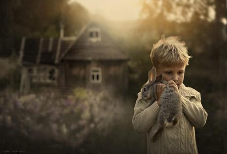 Rabbit - Shumilova