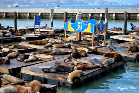 Cosa vedere a San Francisco