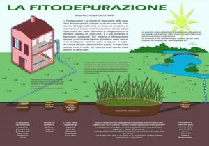 schema_fitodepurazione