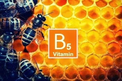 Vitamina B5 o acido pantotenico: due nomi dell'elisir di giovinezza  |  Vitamin B5 or pantothenic acid: two names for the elixir of youth