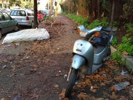 In città come nel bosco. A Roma puoi camminare su tappeti di foglie senza neppure scomodarti per raggiungere gli Appennini