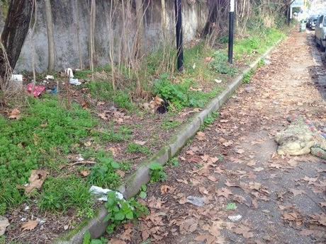 In città come nel bosco. A Roma puoi camminare su tappeti di foglie senza neppure scomodarti per raggiungere gli Appennini