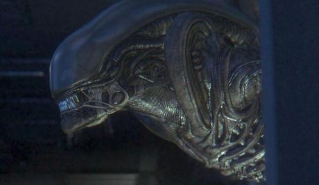 Nuova galleria di immagini per Alien: Isolation