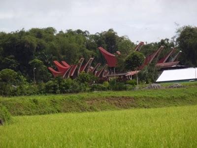 Tana Toraja: tutta la cultura di un popolo