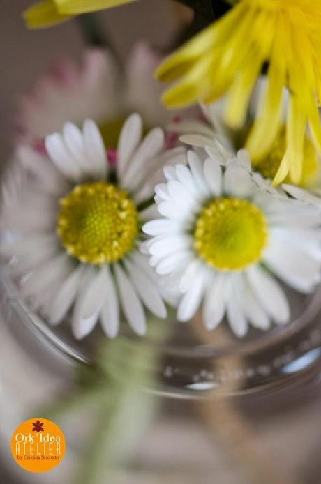 MOMENTI IN FIORE DELLA DOMENICA