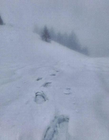 Escursione con le ciaspole (19/1, 2014)