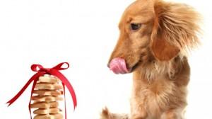 Biscotti-della-festa-come farli-al-tuo-cane