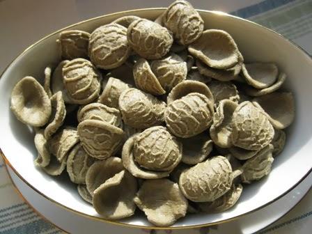 Orecchiette  di farro al sugo