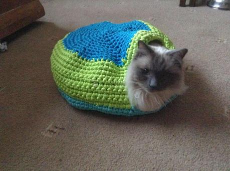 Un regalo anche per loro!