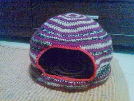 Un regalo anche per loro!