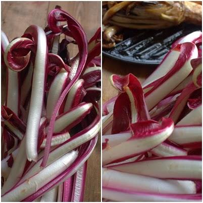 Radicchio trevigiano alla piastra con pecorino e mela rossa