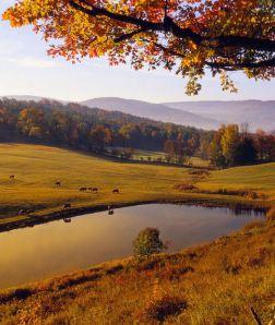 vermont_pinterest