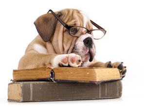 Leggere è un lavoro da cani?
