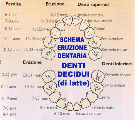 MA QUANDO CADONO I DENTI?