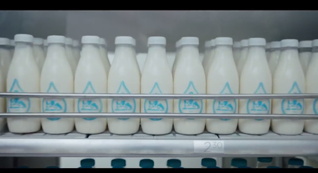 Cisco Milk