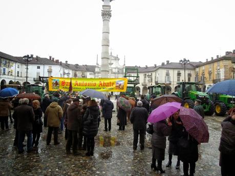 Trattori e animali in piazza