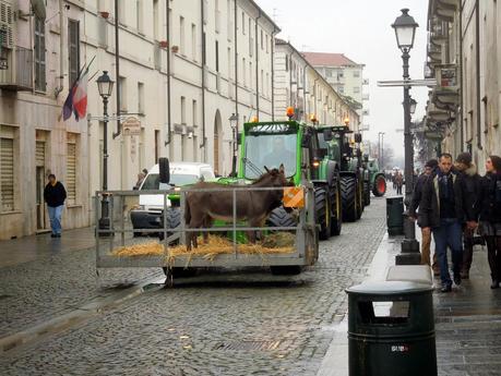 Trattori e animali in piazza