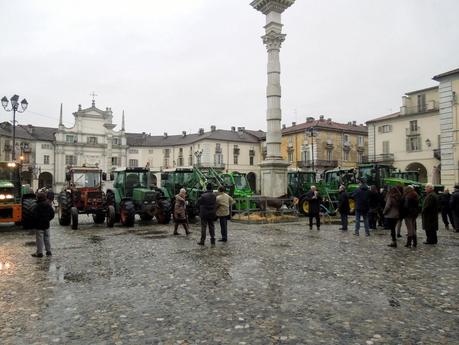 Trattori e animali in piazza