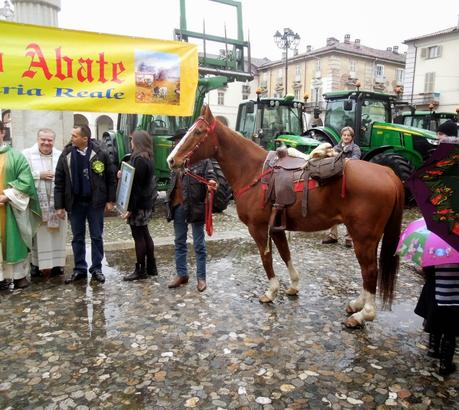 Trattori e animali in piazza