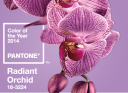 Radiant Orchid colore dell’anno “2014″. Conoscete pantone?