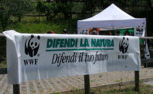 Un gazebo del Wwf in Brianza (brianzacentrale.blogspot.com)