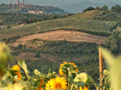 Siena, Gimignano nasce Biodistretto aziende agricole
