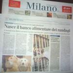 il giornale2