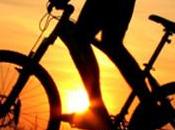 L’anno della bicicletta