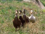 C'e' negozio filippo...