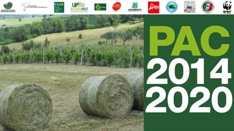 BioEnergy Italy - PAC