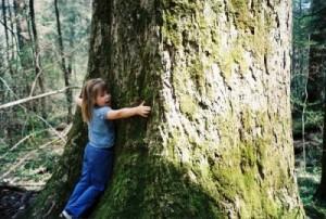 abbracciare-gli-alberi