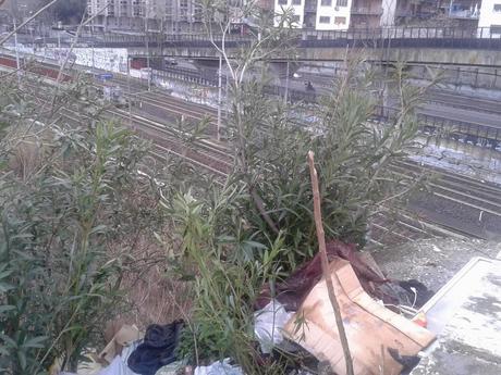 Roma da bonificare. La discarica sotto Ponte delle Valli