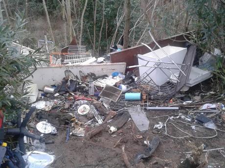 Roma da bonificare. La discarica sotto Ponte delle Valli