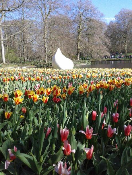 Keukenhof, Olanda