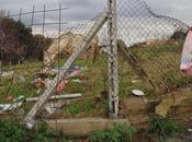 dopo maiali Selva Candida, turno cavalli Portuense. Denominatore comune? Mangiare monnezza