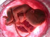 Spezia triste primato: "capitale degli aborti!