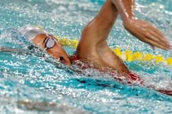 nuoto swimming cup